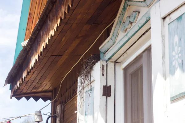 Küçük kuş bir yuvada oturur