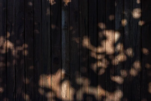 Ağaç gölgesi arkaplanı ve dal üzerindeki doğal yapraklar ve tahta tahtalar üzerindeki ağaç gövdesi deseni, doğa, duvardaki gölgeler.