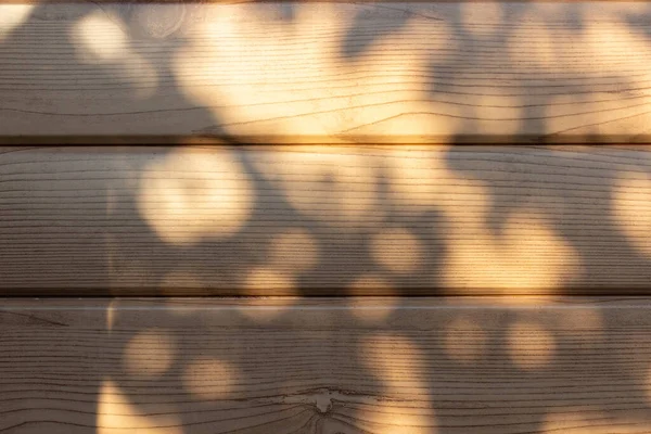 Ağaç gölgesi arkaplanı ve dal üzerindeki doğal yapraklar ve tahta tahtalar üzerindeki ağaç gövdesi deseni, doğa, duvardaki gölgeler.