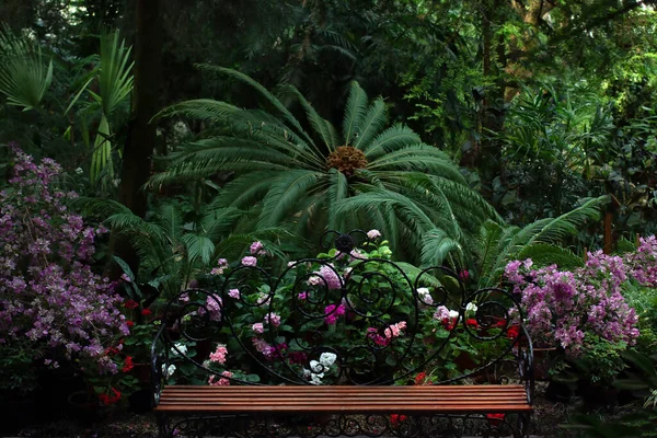 Yeşil bir tropikal parkta bankta. Yeşil bitkiler ve çiçekler arasında bir bankta.
