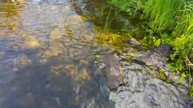 Güneşli bir günde Lakeside. Güneşli bir günde nehir kıyısında güzel taşların görülebildiği şeffaf su. Rahatlamak için, suda parlamak için..