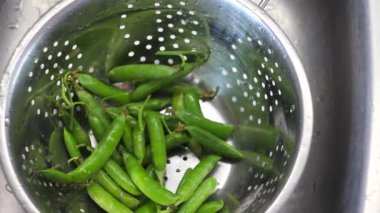 Akan suyun altında taze toplanmış taze bezelyeleri yıkamak. Erkek eller kabuklarda taze yeşil bezelyelerle kevgire sarılır ve akan suyun altında yıkanır..