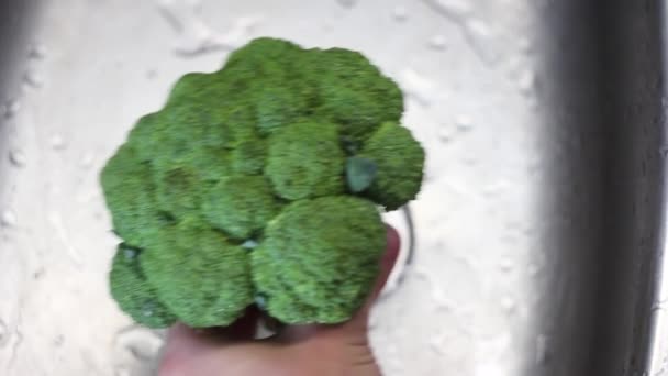 Broccoli Wassen Gootsteen Een Close Mannelijke Handen Wassen Verse Groene — Stockvideo