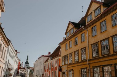 Tallinn 'in dul eşleri