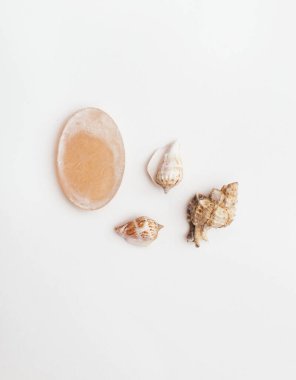 Kabuklu doğal sabun.