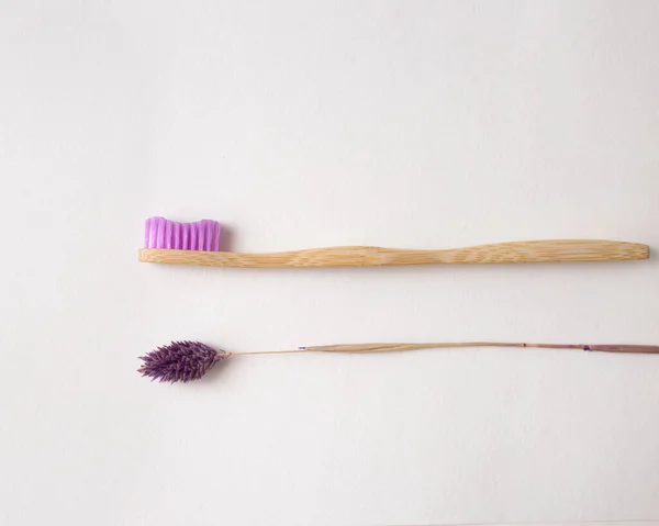 Pink Bamboo Toothbrush Flowers — Stock Photo, Image
