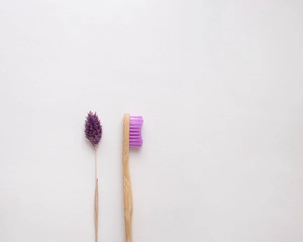 Escova Dentes Bambu Rosa Com Flores — Fotografia de Stock