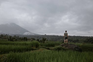 Bali 'de pirinç tarlalarında erkek turist