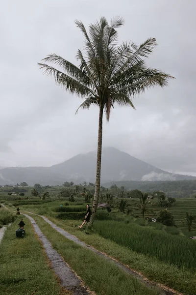 Женщина Черном Платье Рисовых Террасах Бали — стоковое фото