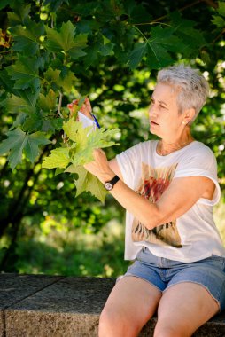 Yaşlı bayan yürüyüşçü bir ağacın yapraklarını gözlemler ve notlar alır. Doğa kavramı
