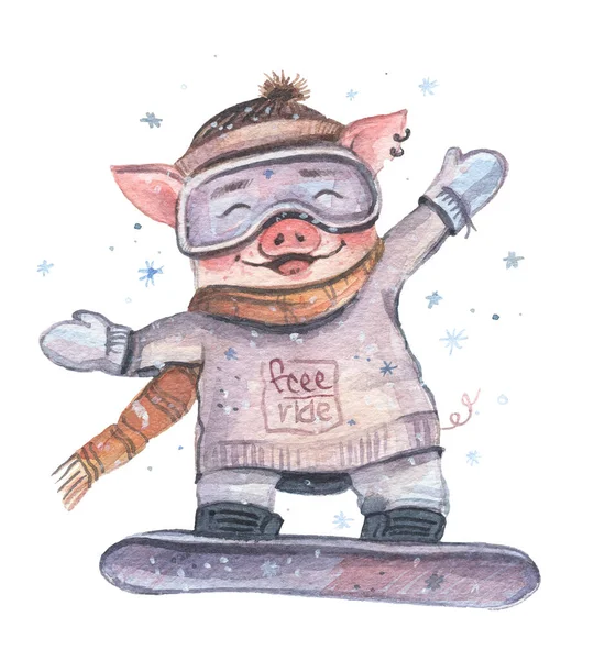 Piggy Snowboardista Akvarel Malý Prase Snowboardu Kreslené Prasátko Snowboardu Maskou — Stock fotografie