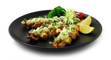 Yakitori Izgara Tavuk Şişleri Pırasa Bunching soğan füzyon stili Japon BBQ Goodtasty Kolay yemek oyulmuş pırasa, maydanoz ve domatesler Asya 'da popüler
