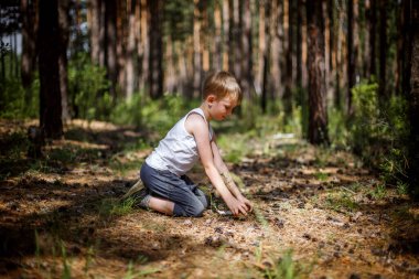 A boy with light hair and light clothes is digging in the ground against the background of the forest.  clipart