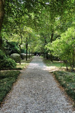 Park avenue ağaçlarla ile