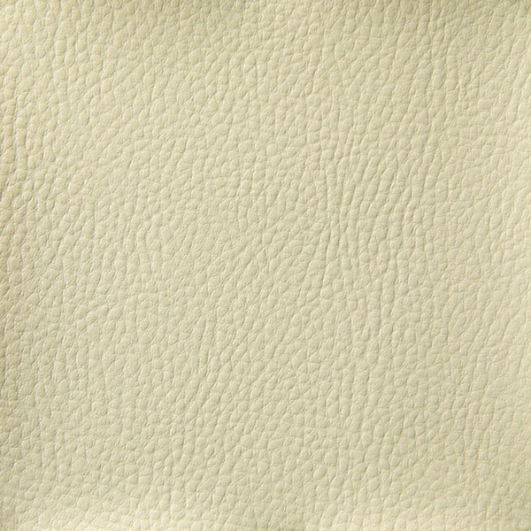 Texture Tessuto Pelle — Foto Stock