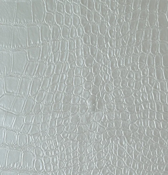 Texture Tessuto Pelle — Foto Stock