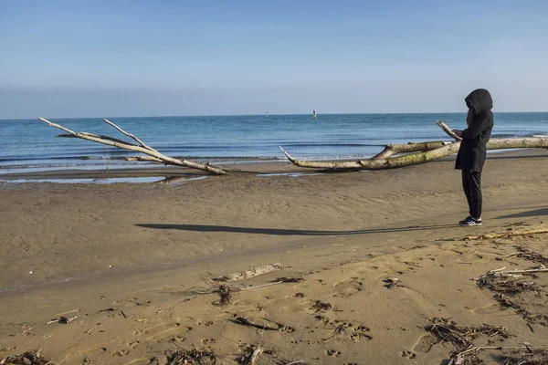 Tronco Albero Sulla Spiaggia Invernale — Foto Stock