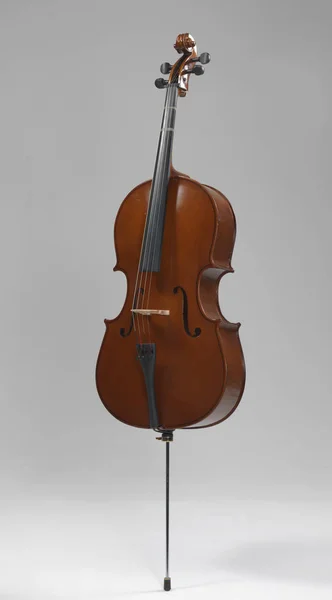 Strumento Musicale Corda Violoncello — Foto Stock