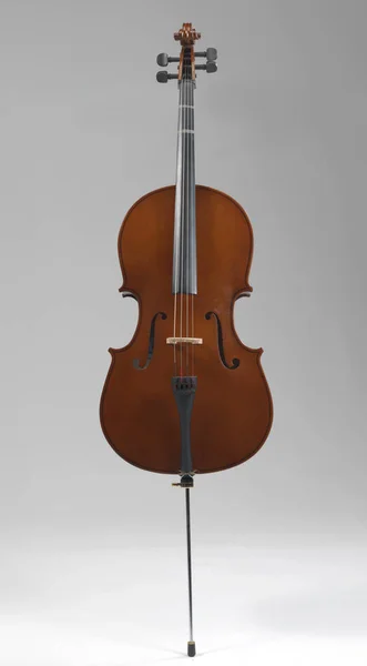 Cello stringed musical instrument