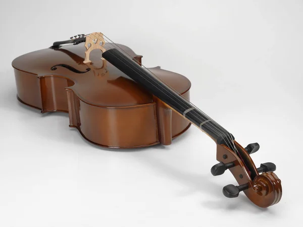 チェロ弦の楽器 — ストック写真