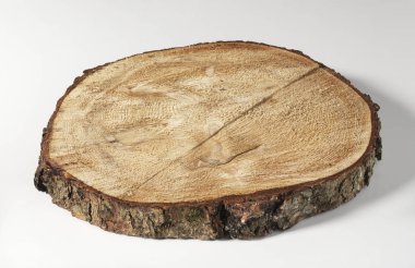 Ahşap gövde bölüm dokusu