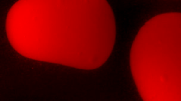 Yüzen Kırmızı Parçacıklar Ile Arka Plan — Stok video