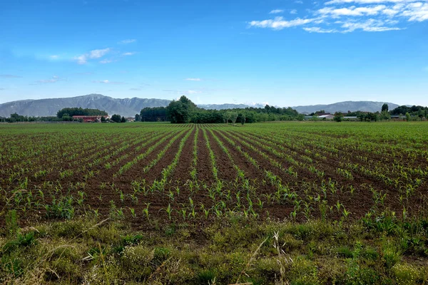 Landschaft Mit Blauem Himmel — Stockfoto