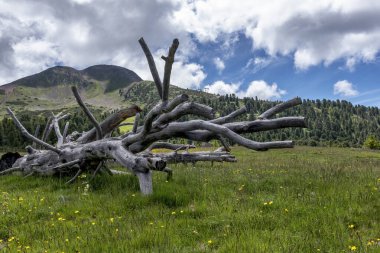 Kaya ve mavi gökyüzü ile dağ manzarası