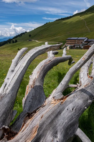 Horská Krajina Skálou Modrou Oblohou — Stock fotografie