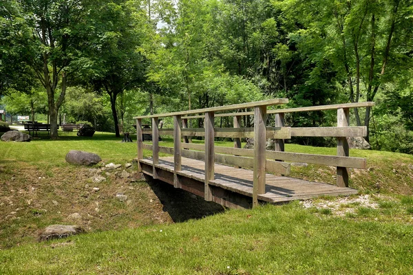 Paesaggio Forestale Con Ponte Legno — Foto Stock