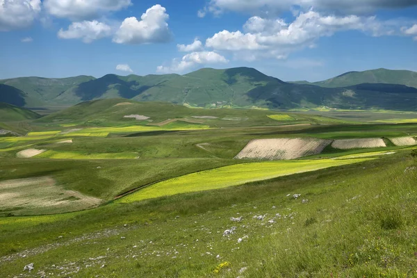 Landschaft Mit Grünen Hügeln Und Blauem Himmel — Stockfoto