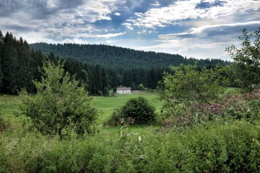 Mavi gökyüzü olan dağ manzarası