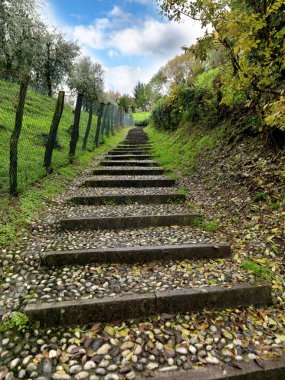 Ormanda merdivenleri olan dağ manzarası