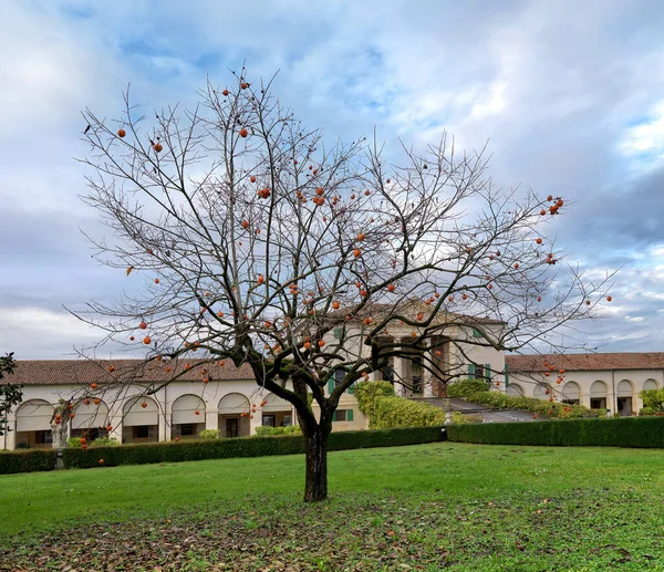 Paesaggio Con Parco Antica Villa — Foto Stock