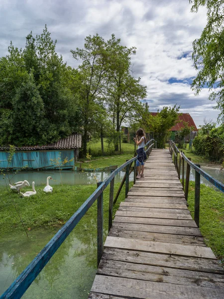 Paysage Lagunaire Avec Pont Bois Ciel Bleu — Photo