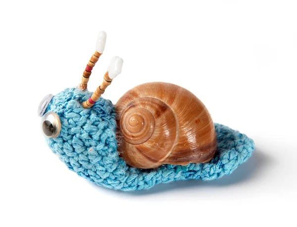 Gestrickte Schnecke Auf Weißem Hintergrund — Stockfoto