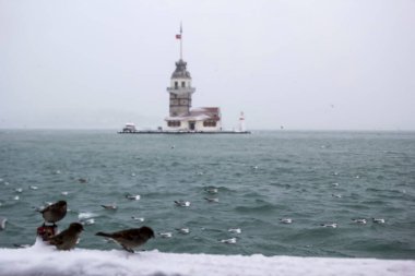 Bakire Kulesi (Kiz Kulesi) kışın karla kaplı ve İstanbul, Türkiye 'den martı kuşları var.