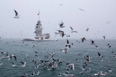 Bakire Kulesi (Kiz Kulesi) kışın karla kaplı ve İstanbul, Türkiye 'den martı kuşları var.