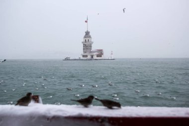 Bakire Kulesi (Kiz Kulesi) kışın karla kaplı ve İstanbul, Türkiye 'den martı kuşları var.