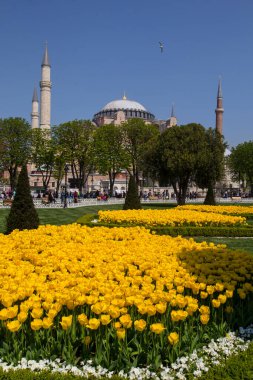 İSTANBUL, TURKEY - 10 Haziran 2017: Mahya, İstanbul, Türkiye 'deki Mavi Cami ramazanı camisi Sultan Ahmet Camii' nin çiçekleriyle manzara