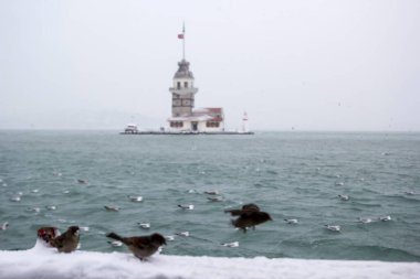 Bakire Kulesi (Kiz Kulesi) kışın karla kaplı ve İstanbul, Türkiye 'den martı kuşları var.
