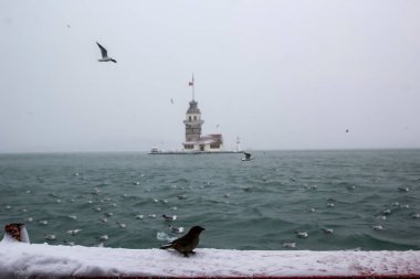 Bakire Kulesi (Kiz Kulesi) kışın karla kaplı ve İstanbul, Türkiye 'den martı kuşları var.