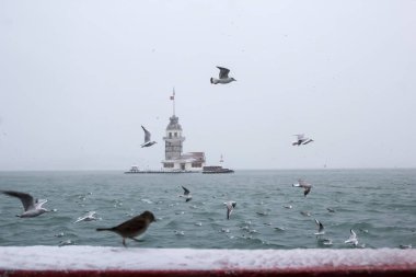 Bakire Kulesi (Kiz Kulesi) kışın karla kaplı ve İstanbul, Türkiye 'den martı kuşları var.