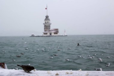 Bakire Kulesi (Kiz Kulesi) kışın karla kaplı ve İstanbul, Türkiye 'den martı kuşları var.