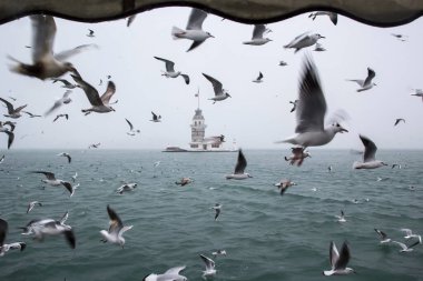 Bakire Kulesi (Kiz Kulesi) kışın karla kaplı ve etrafında İstanbul, Türkiye 'den kuşlar var
