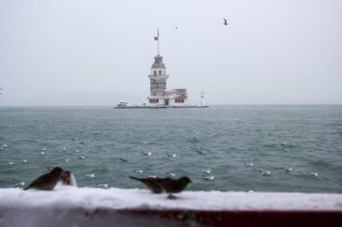 Bakire Kulesi (Kiz Kulesi) kışın karla kaplı ve İstanbul, Türkiye 'den martı kuşları var.