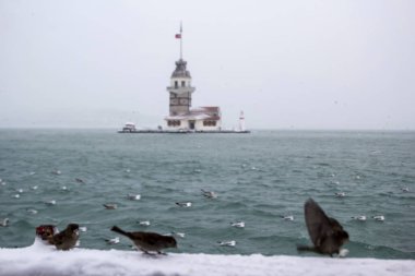 Bakire Kulesi (Kiz Kulesi) kışın karla kaplı ve İstanbul, Türkiye 'den martı kuşları var.