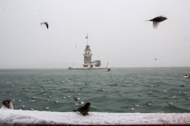 Bakire Kulesi (Kiz Kulesi) kışın karla kaplı ve İstanbul, Türkiye 'den martı kuşları var.