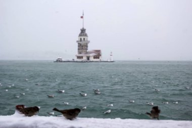 Bakire Kulesi (Kiz Kulesi) kışın karla kaplı ve İstanbul, Türkiye 'den martı kuşları var.