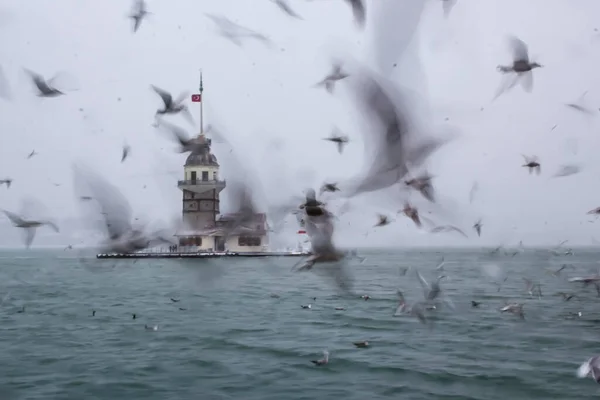 Der Maidenturm Kiz Kulesi Überwintert Mit Schnee Und Gibt Möwenvögel — Stockfoto